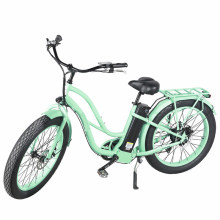 48V 750W Lady Electric Bike Electric City Bicycle